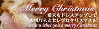 クリスマス