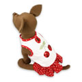 犬服のクリスタルチェリードレス