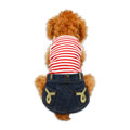 犬服のノーティカル ドレス [レッド]