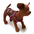 犬服のミント チョコ キャミソール トップ [ブラウン/ホットピンク]